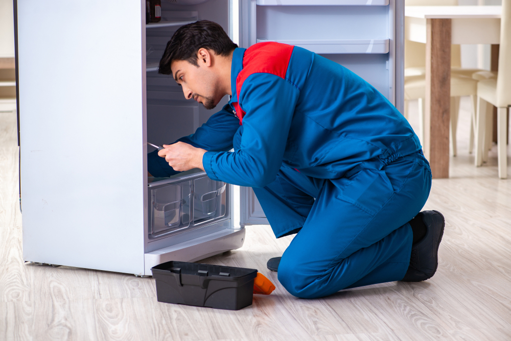 Man,Repairing,Fridge,With,Customer